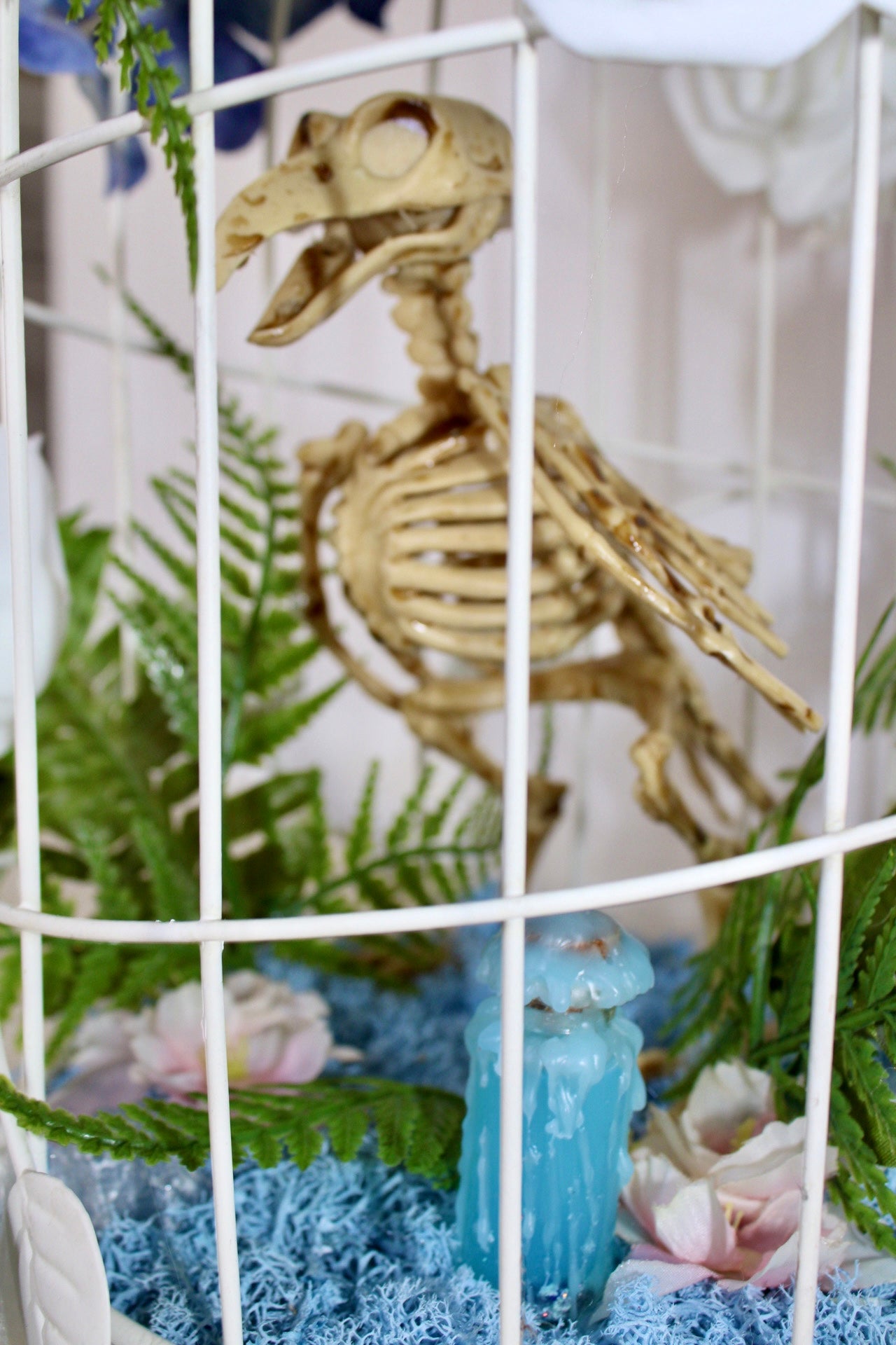 Bird's Afterlife