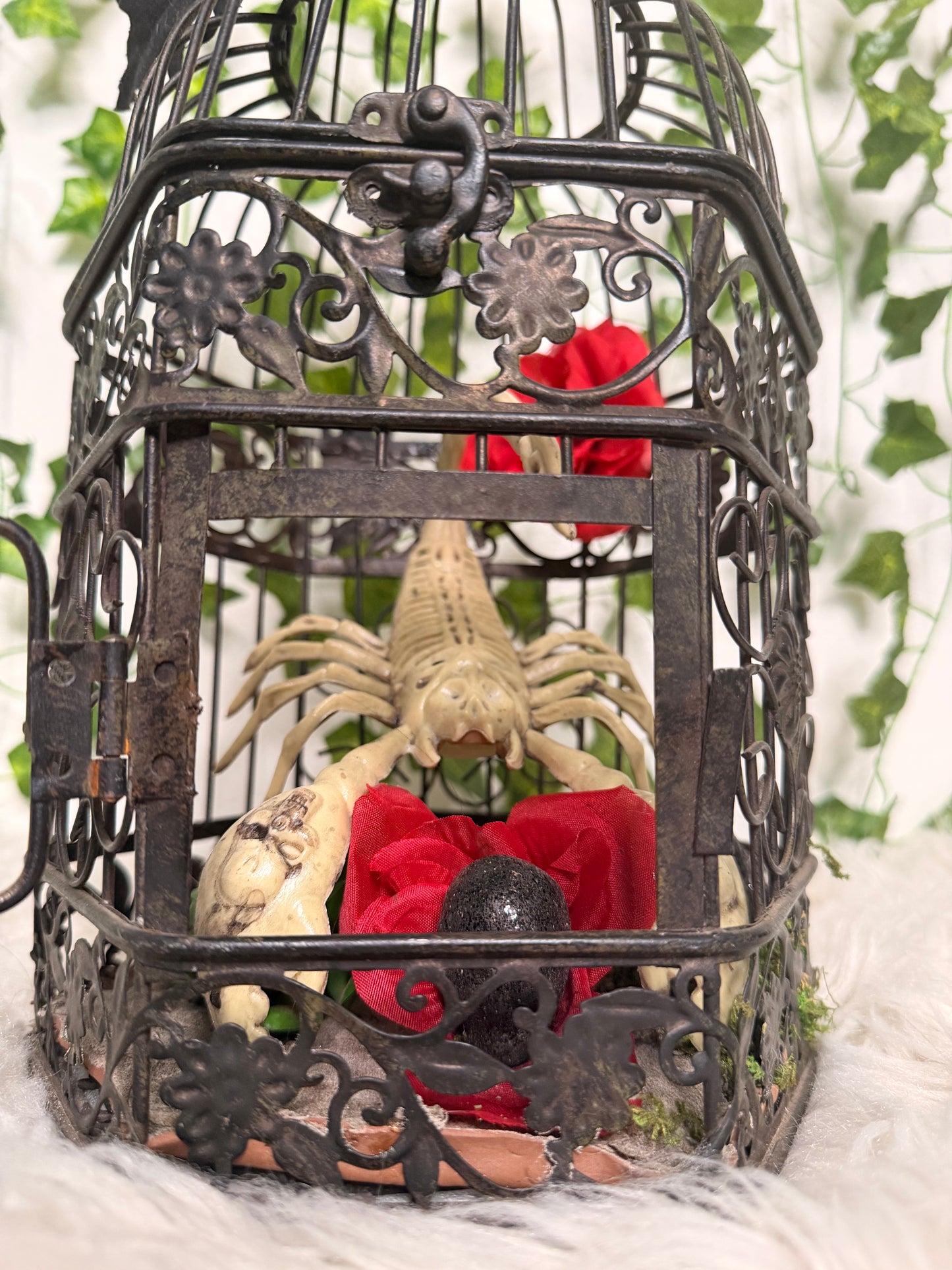Crimson Dessert Cage