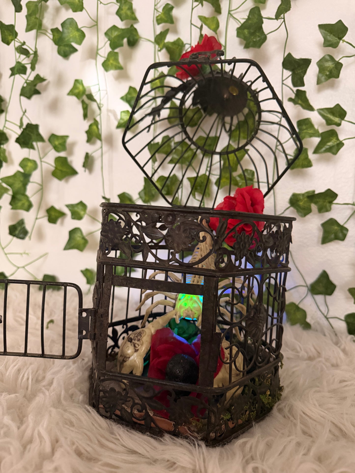 Crimson Dessert Cage