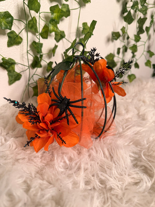 Baby Pumpkin cage 🎃🖤