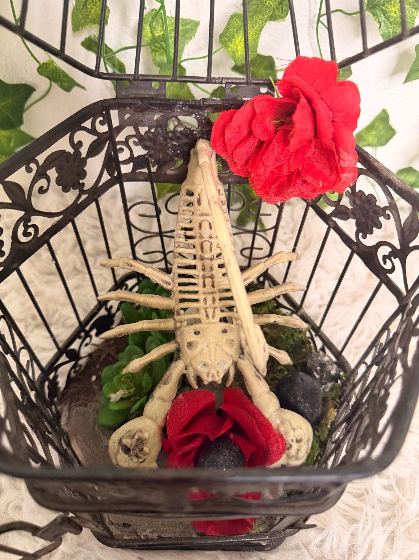 Crimson Dessert Cage