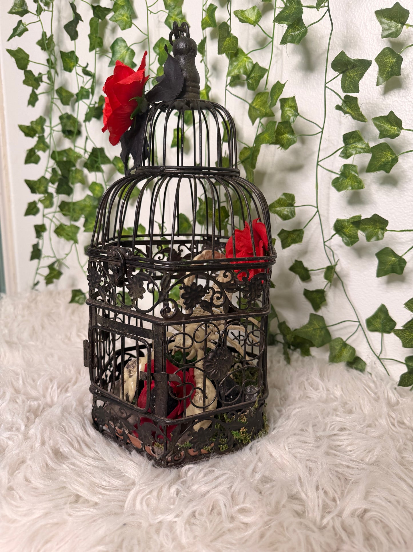 Crimson Dessert Cage