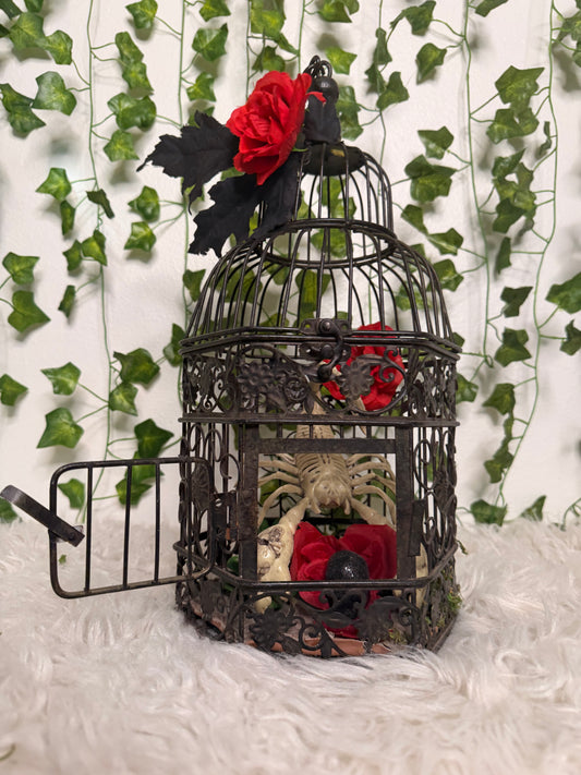 Crimson Dessert Cage